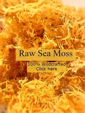 Raw Sea Moss 